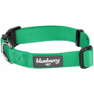 Blueberry pet collar