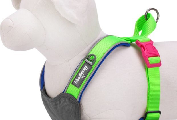 Blueberry Pet Dog Harness Review