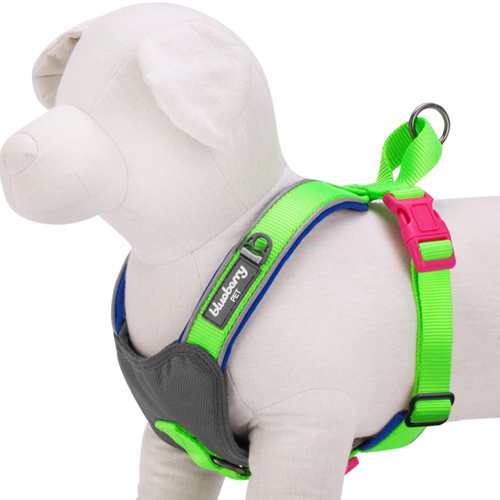 Blueberry Pet Dog Harness Review