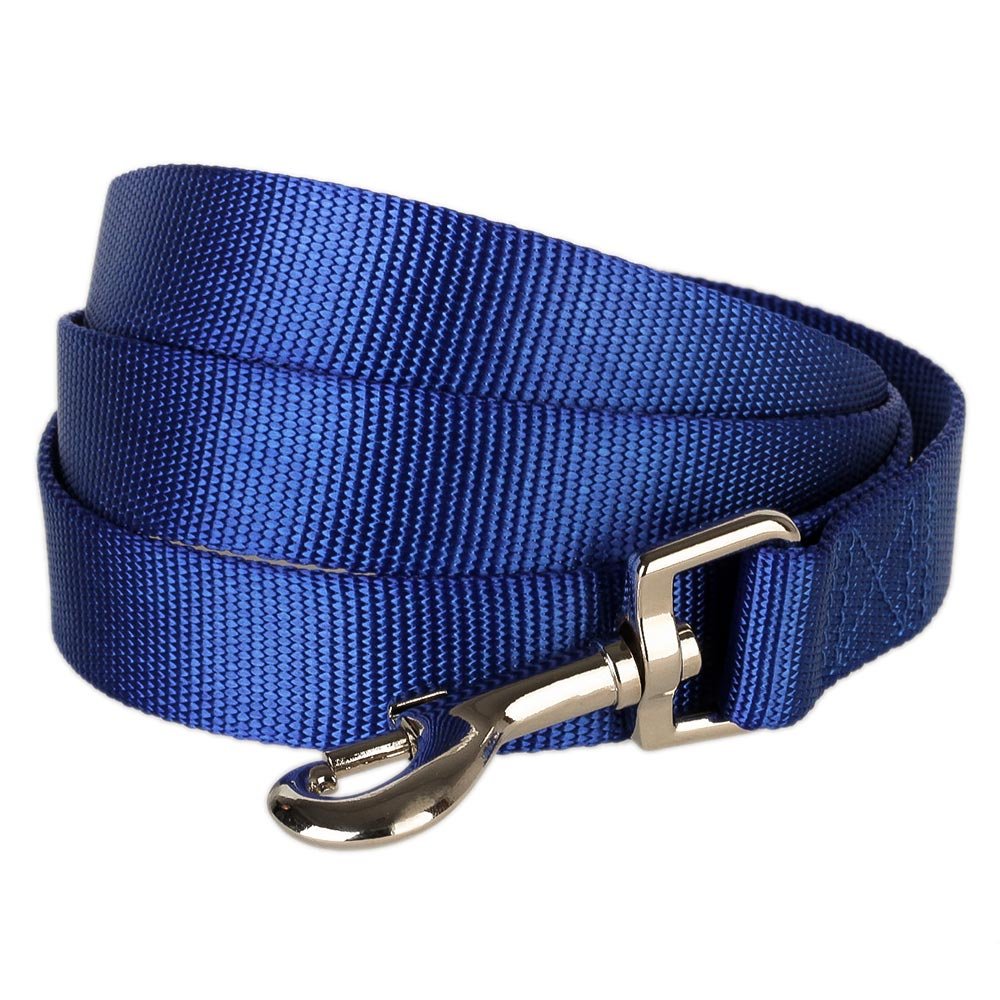 Blueberry Pet Classic Solid Color Dog Leash